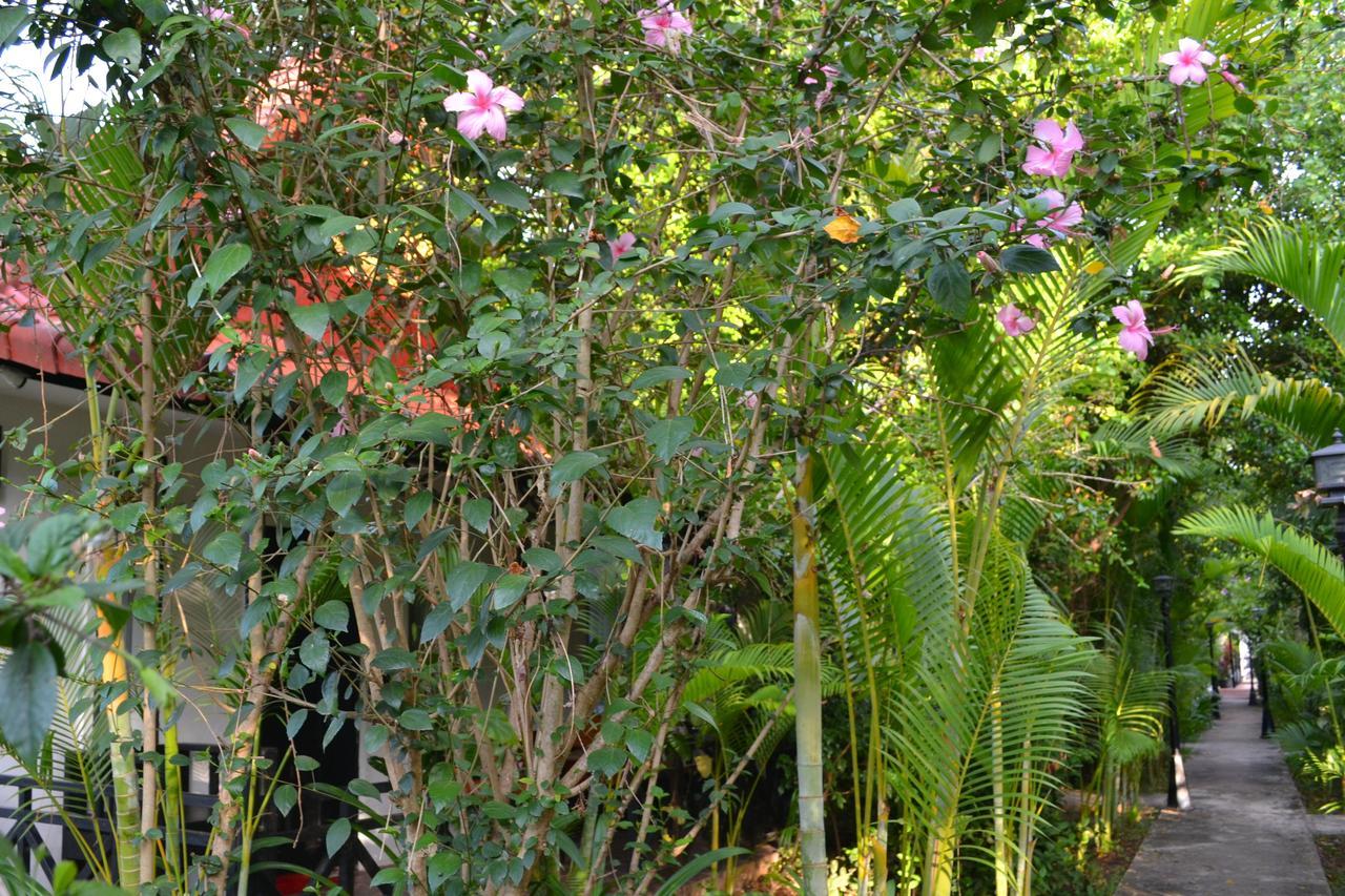 Nature Boutique Residence Siem Reap Exterior foto