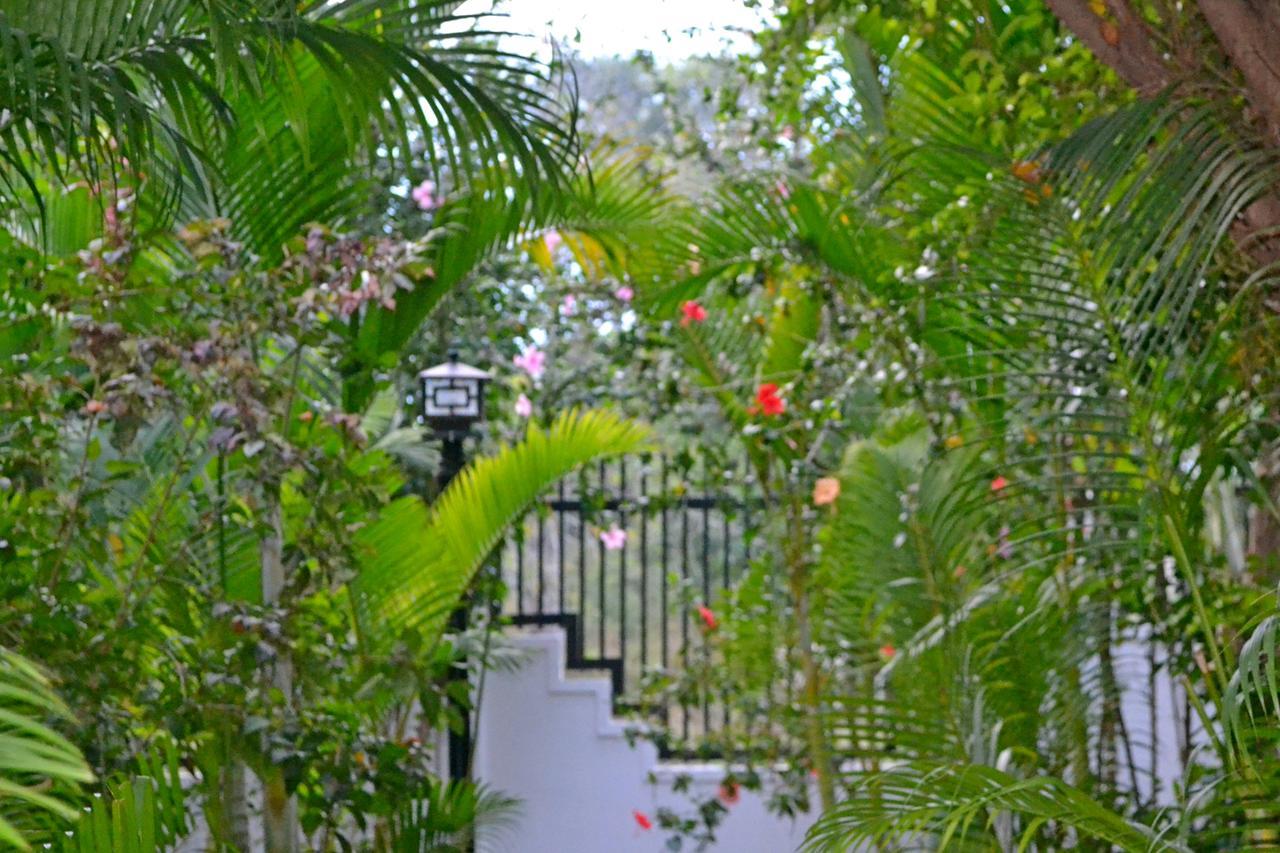 Nature Boutique Residence Siem Reap Exterior foto